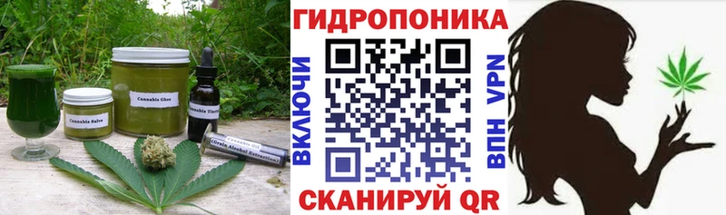 Cannafood конопля  Рыбинск 