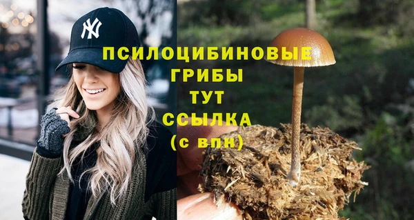 дмт Дмитров