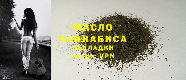 2c-b Гусев