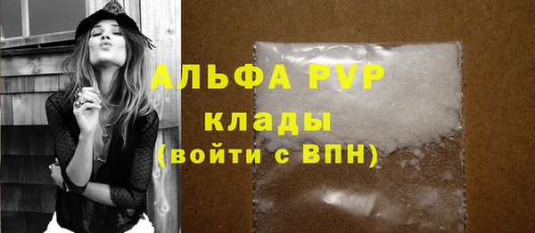 2c-b Гусев