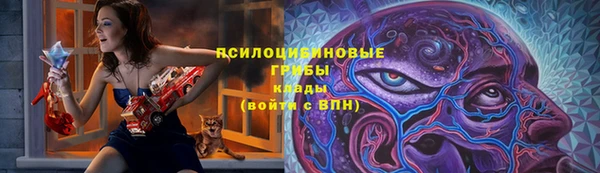 марки lsd Гусиноозёрск