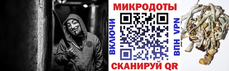 omg онион  Рыбинск  Псилоцибиновые грибы GOLDEN TEACHER 